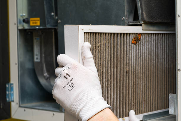 Best Home Air Vent Cleaning  in Hartland, WI